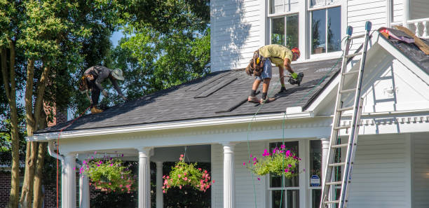 Roof Moss and Algae Removal in Governors Village, NC